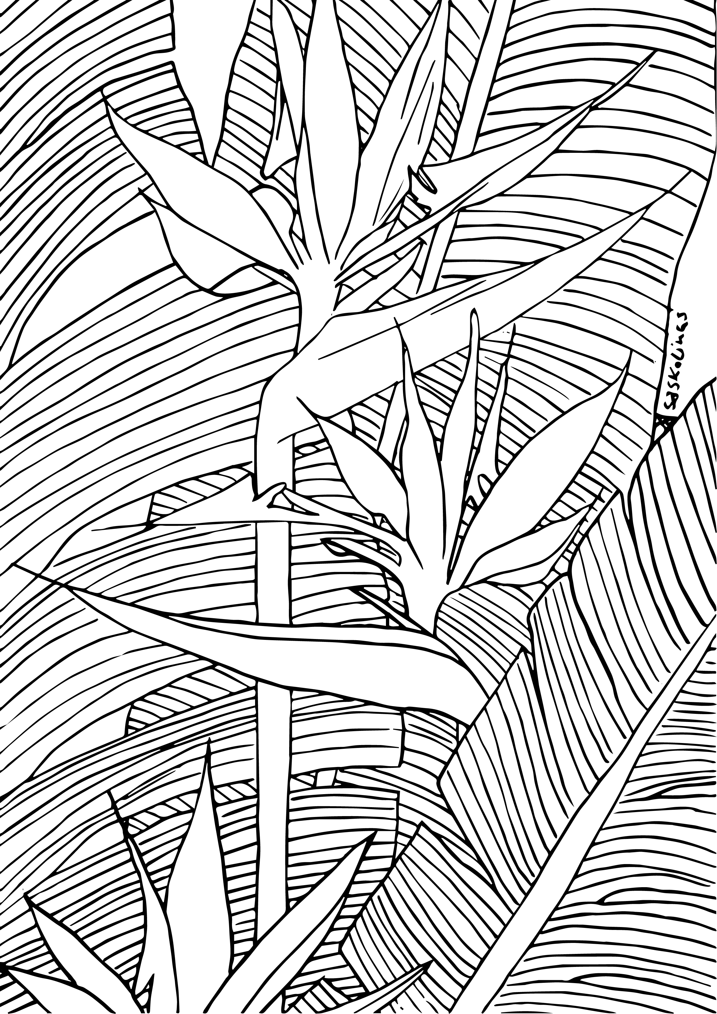 Free coloring page