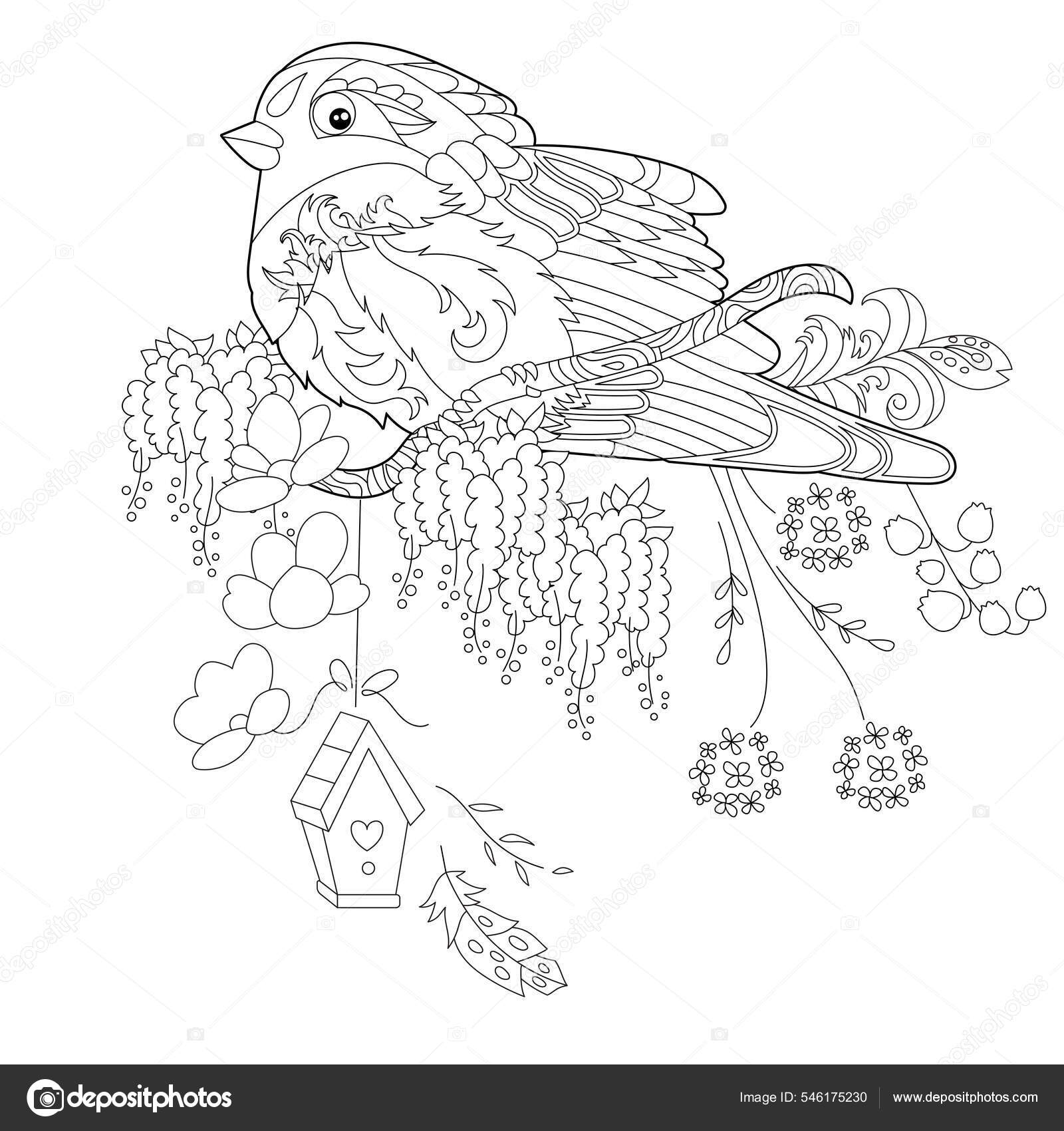 Contour linear illustration coloring book paradise bird flowers tropic bird stock vector by nurrka
