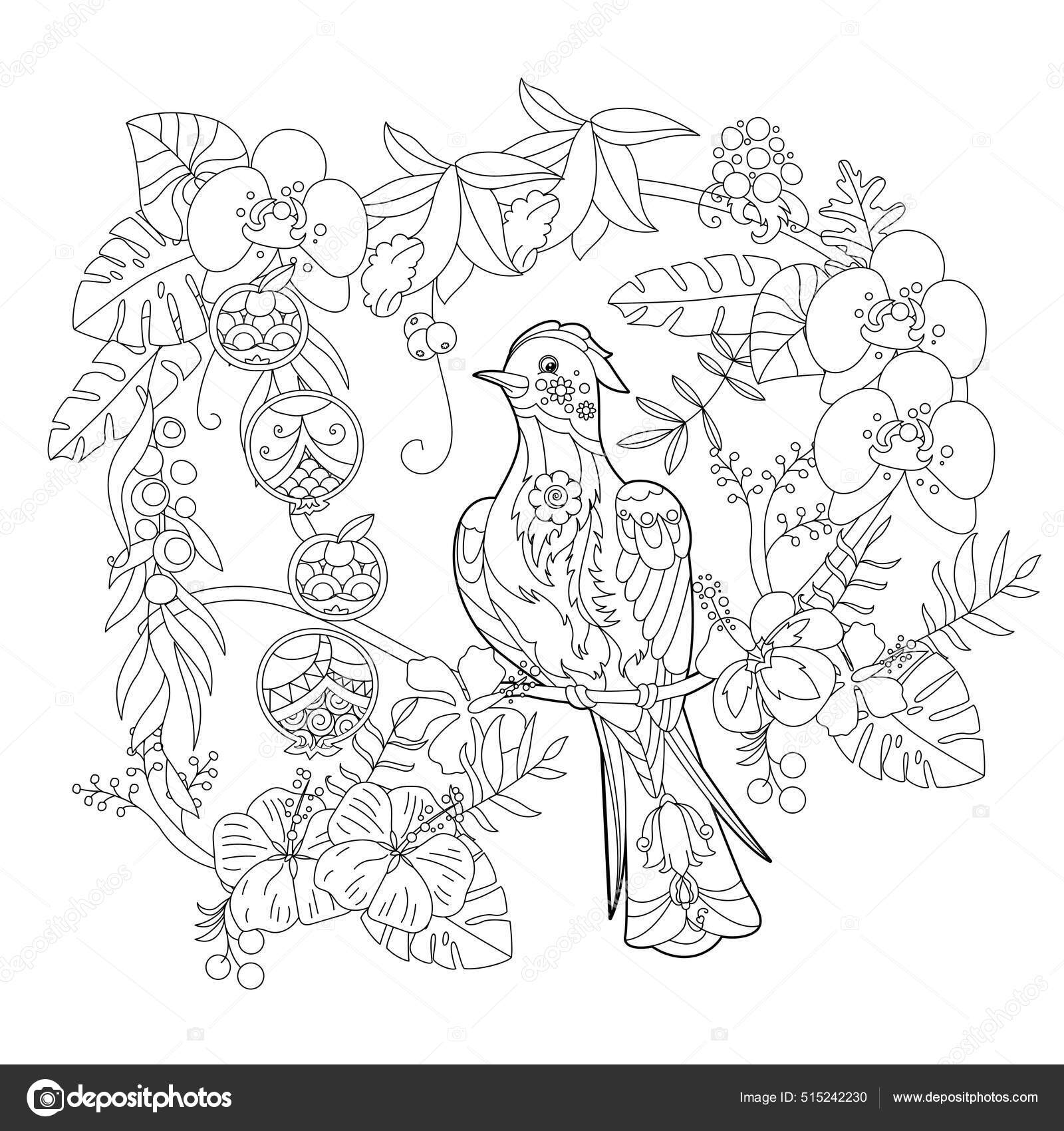 Contour linear illustration coloring book paradise bird flowers tropic bird stock vector by nurrka