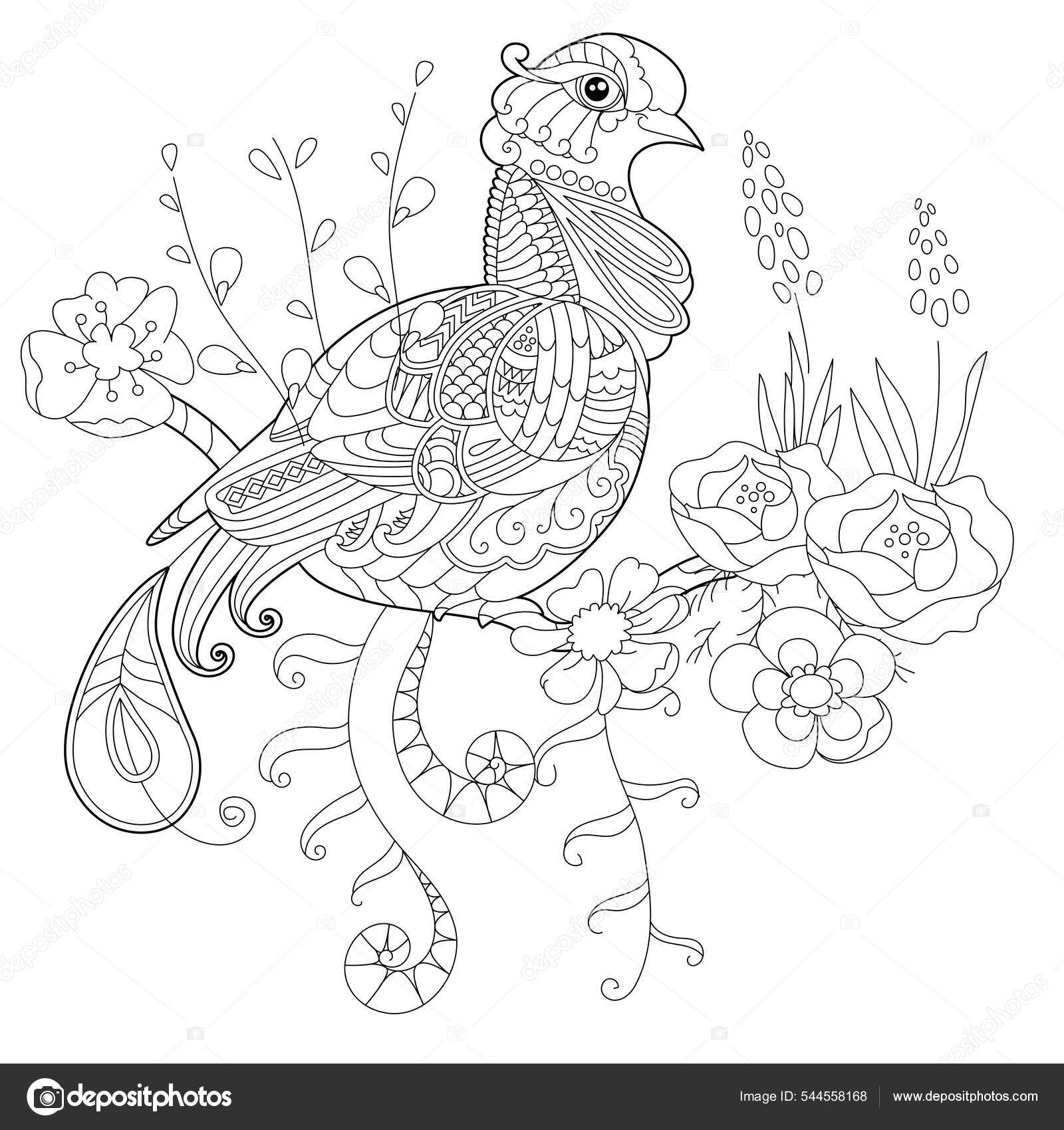 Contour linear illustration coloring book paradise bird flowers tropic bird stock vector by nurrka