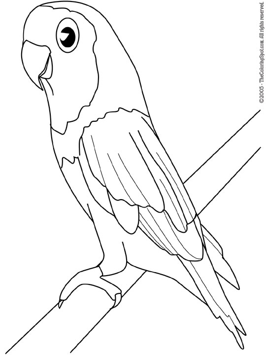 Parakeet coloring page audio stories for kids free coloring pages colouring printables
