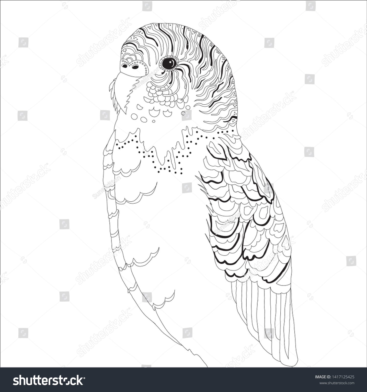 Budgie bird line drawing coloring page stock illustration