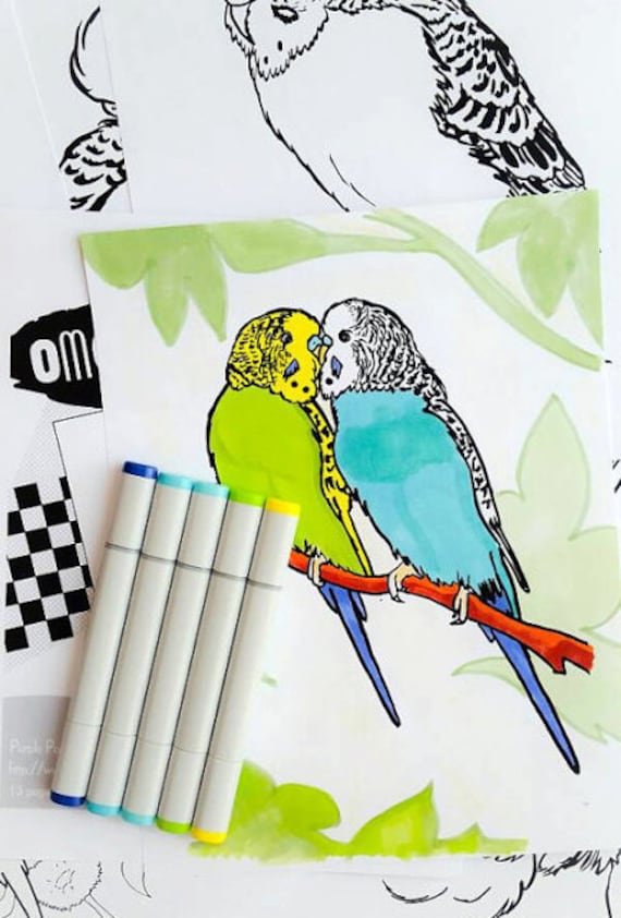 Budgies coloring book printable pdf bird colouring book instant digital download parrot coloring pages parakeet or budgerigar pets
