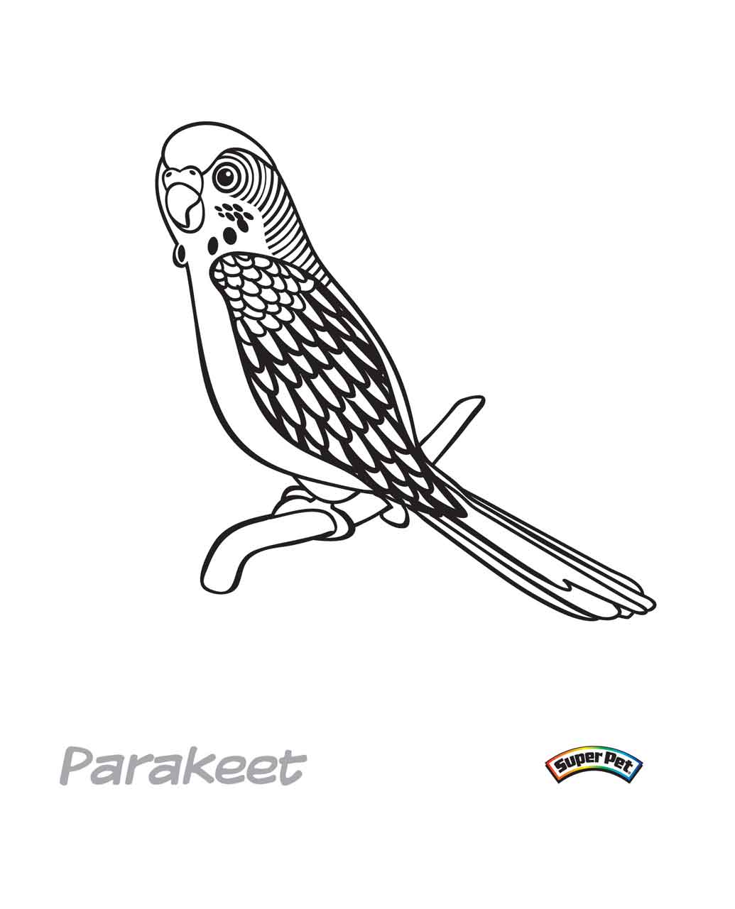 Parakeet