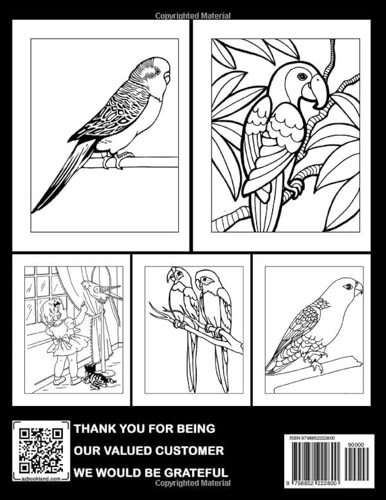 Parakeet coloring book fabulous coloring pages with unique illustrations ideal gift for all ages relaxation and stress relief acosta lois books