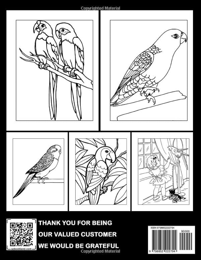 Parakeet coloring book fabulous coloring pages with unique illustrations ideal gift for all ages relaxation and stress relief acosta lois books
