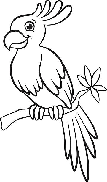 Parakeet for coloring stock illustrations royalty