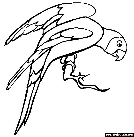 Perched parakeet online coloring page