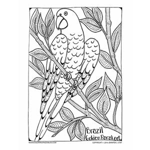 Brazil golden parakeet coloring page