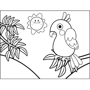 Shy parakeet coloring page