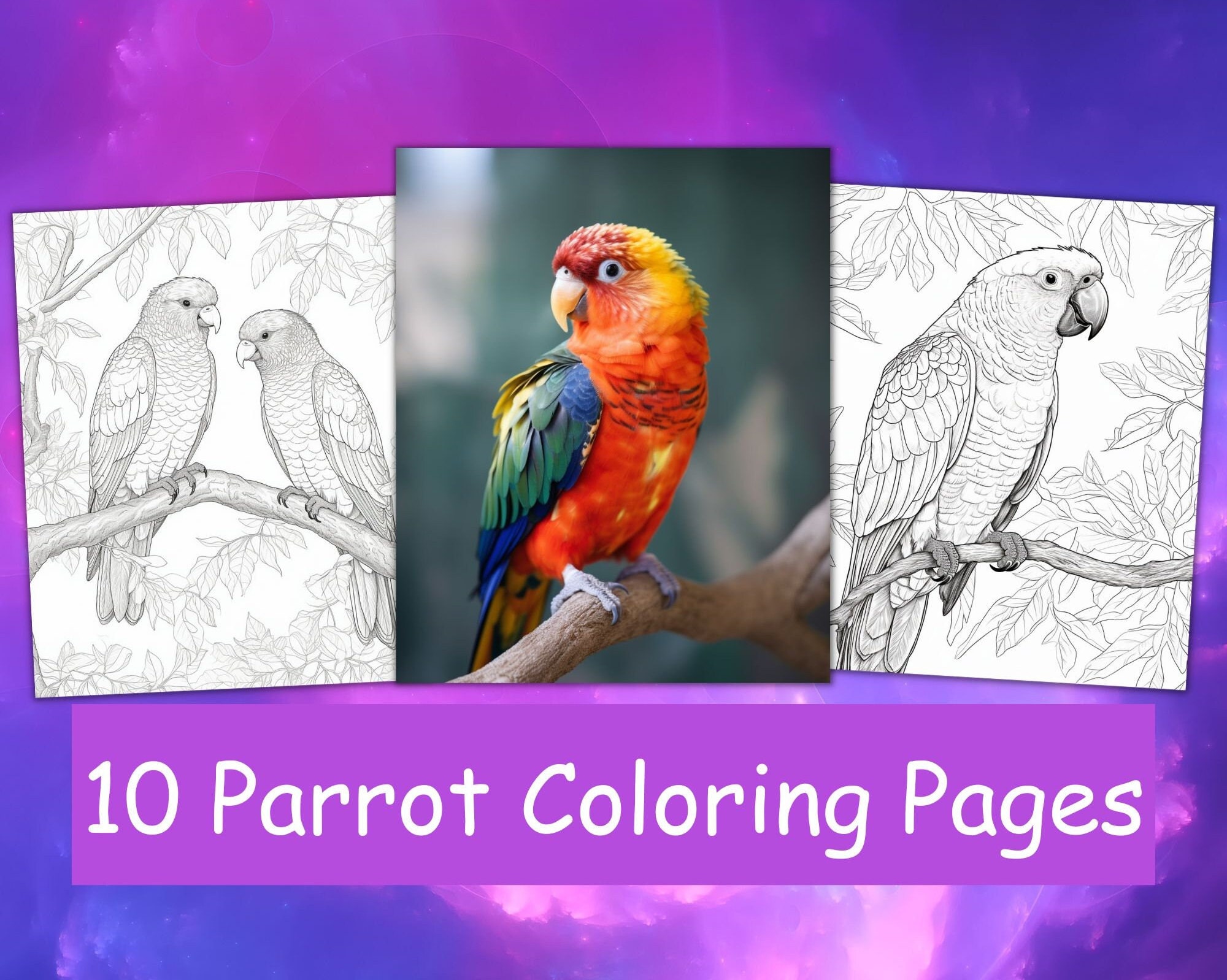 Parrots coloring pages for adults parrots coloring sheets