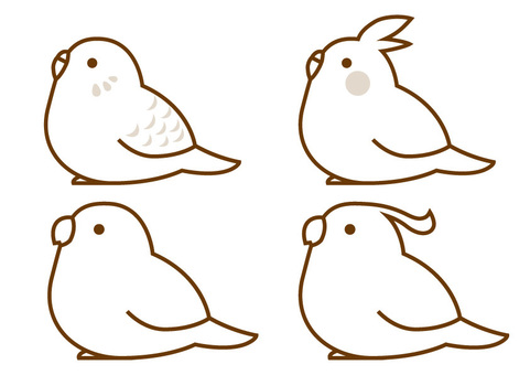 Free vectors parakeet coloring page