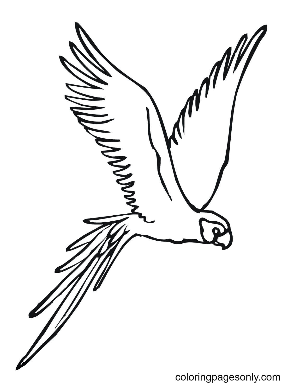 Parrot coloring pages printable for free download