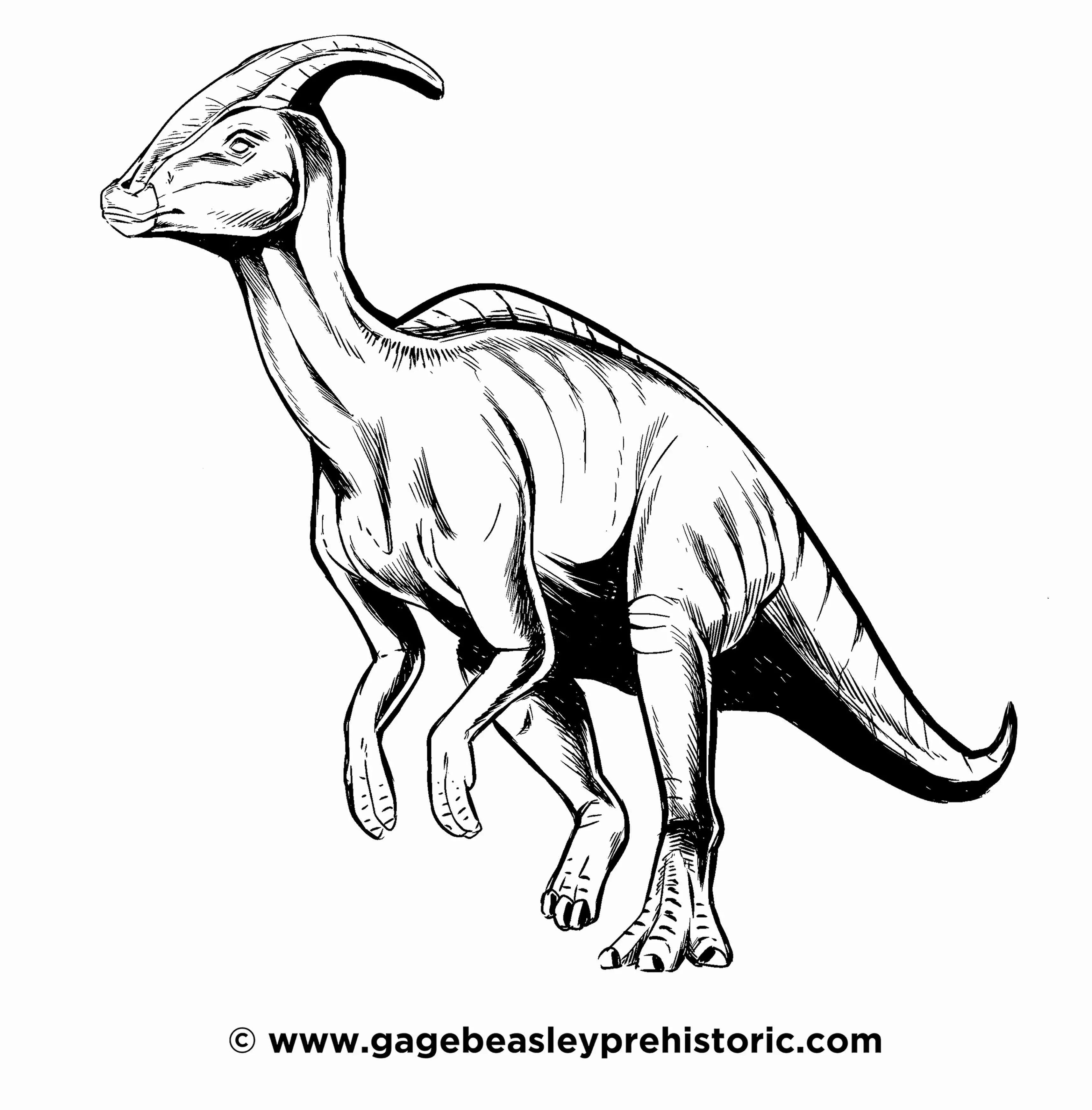 An ultimate guide to parasaurolophus near crested lizard