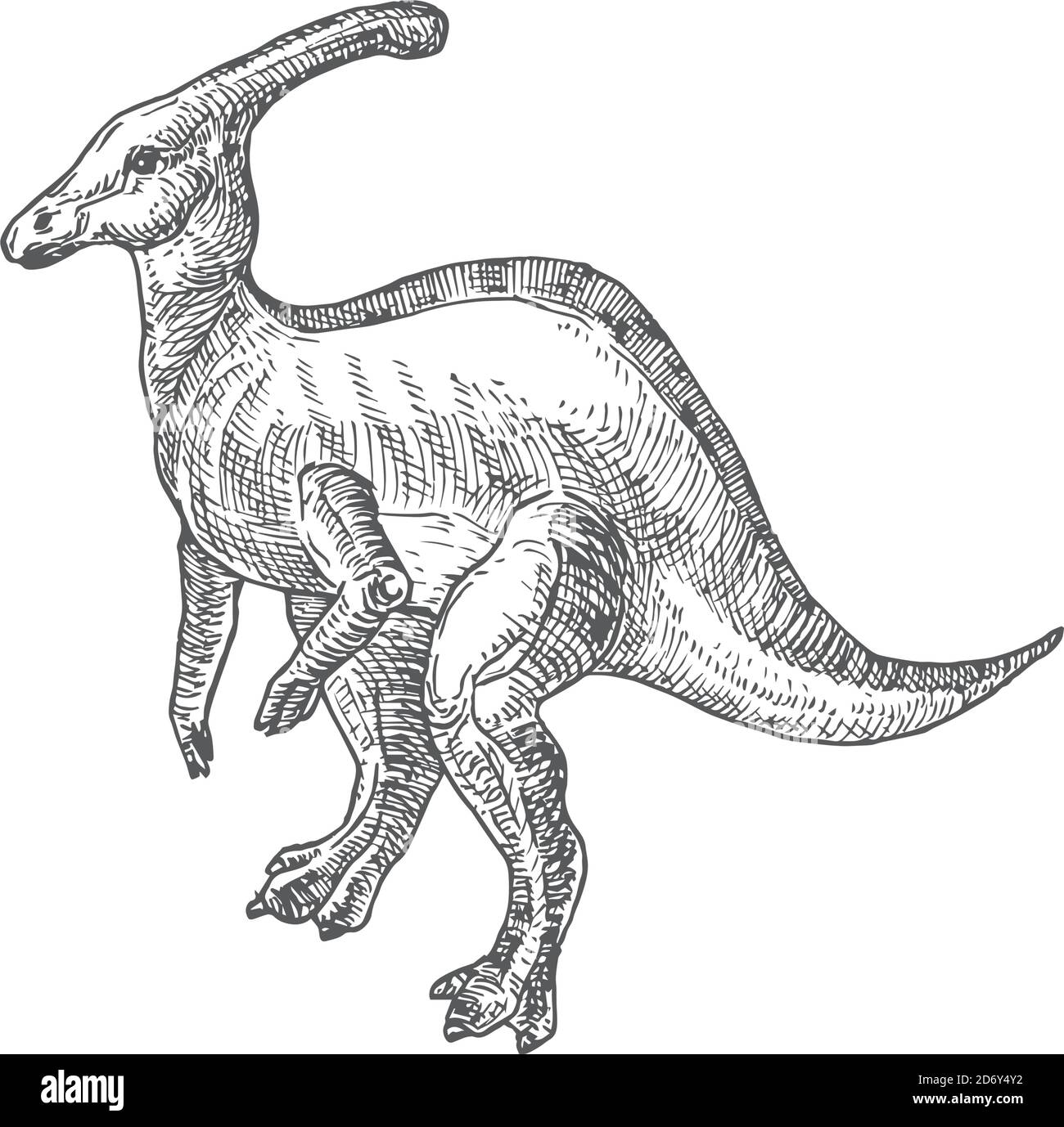 Prehistoric dinosaur doodle vector illustration hand drawn parasaurolophus reptile engraving style drawing stock vector image art