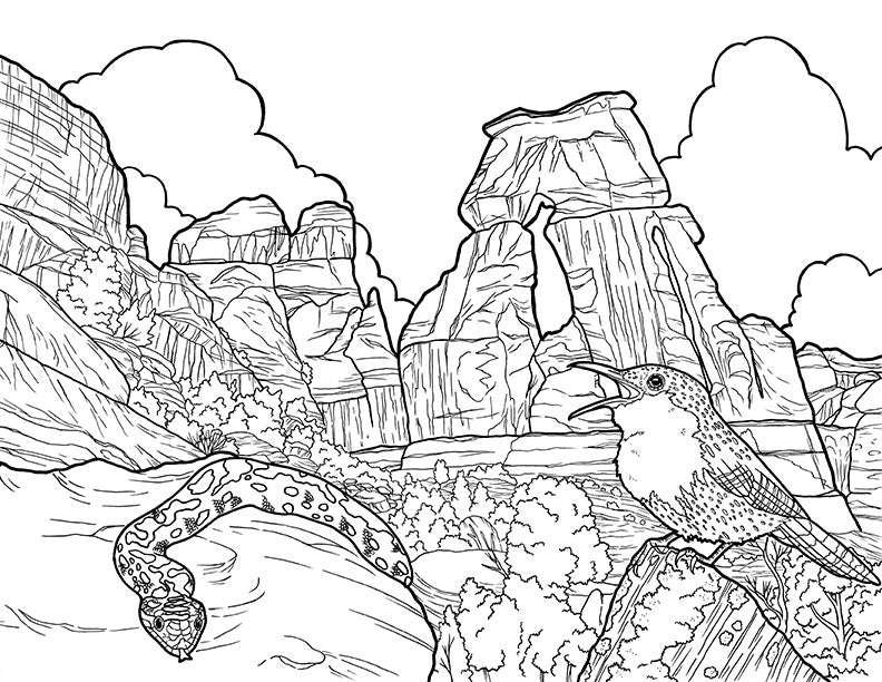 Utah big coloring page bundle â