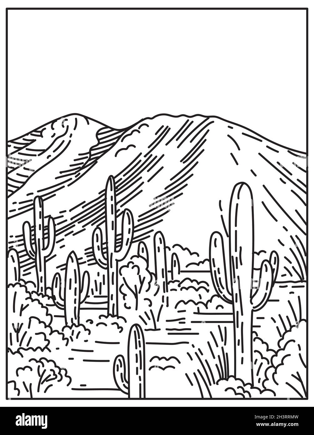 Saguaro mountain park cut out stock images pictures