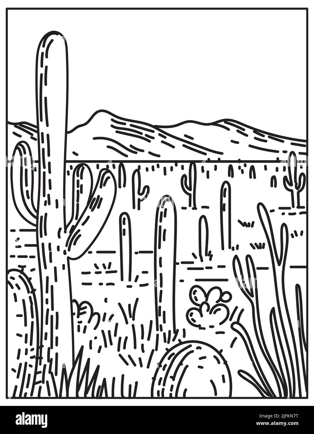 Saguaro mountain park cut out stock images pictures