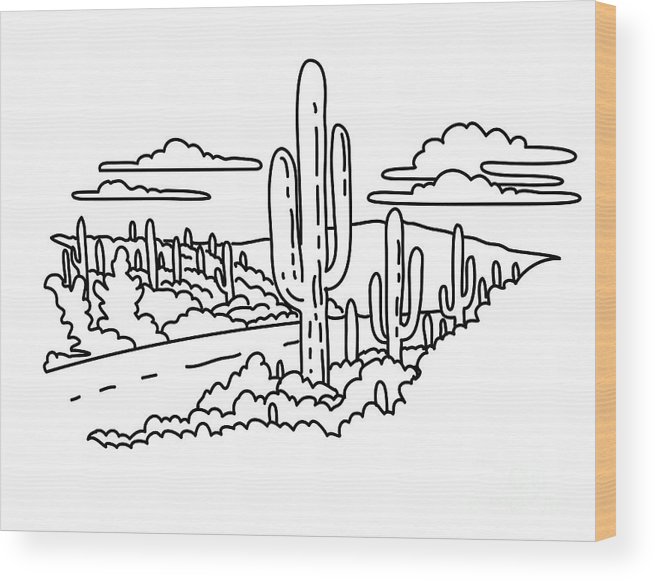 Cactus forest scenic drive in saguaro national park arizona monoline line art drawing wood print by aloysius patrimonio