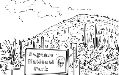Saguaro cactus reading prehension