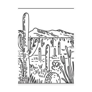 Cactus forest scenic drive in saguaro national park arizona monoline line art drawing greeting card by aloysius patrimonio