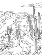 Saguaro national park coloring page free printable coloring pages