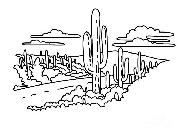 Cactus forest scenic drive in saguaro national park arizona monoline line art drawing greeting card by aloysius patrimonio