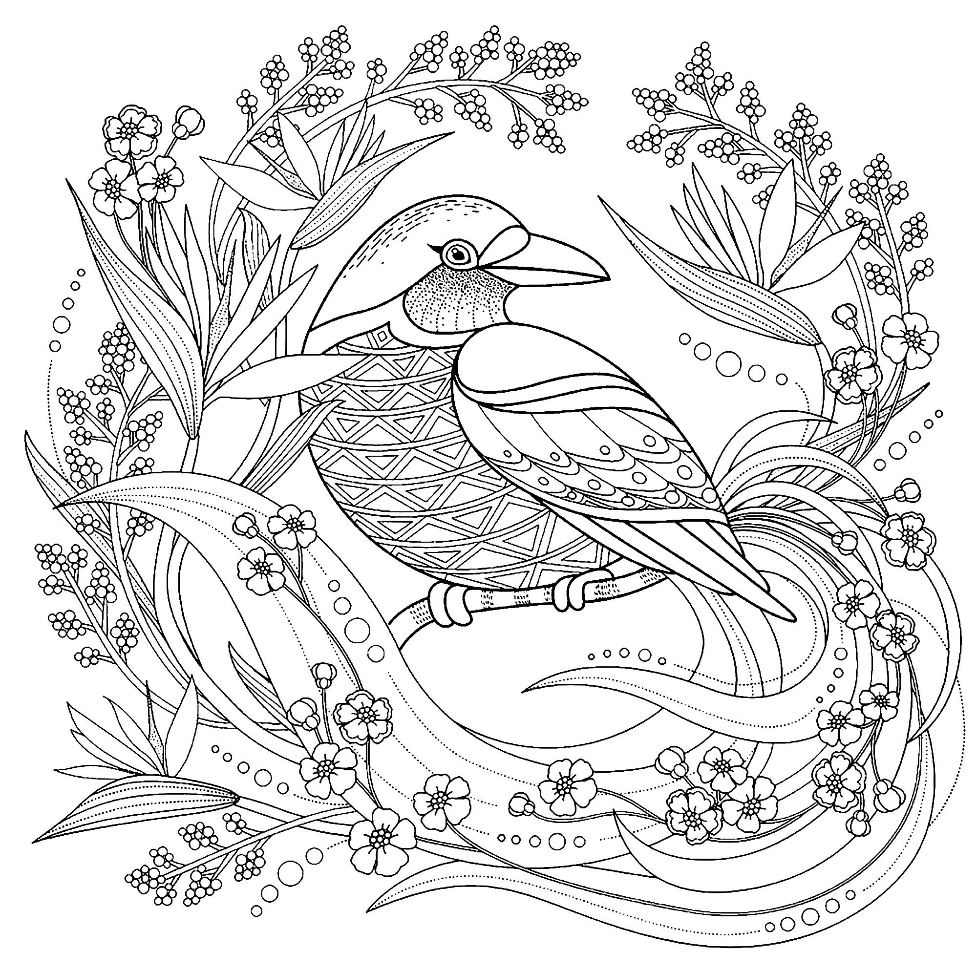 Bird coloring pages for adults