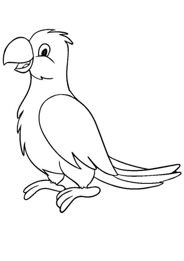 Coloring pages printable parrot coloring pages for kids