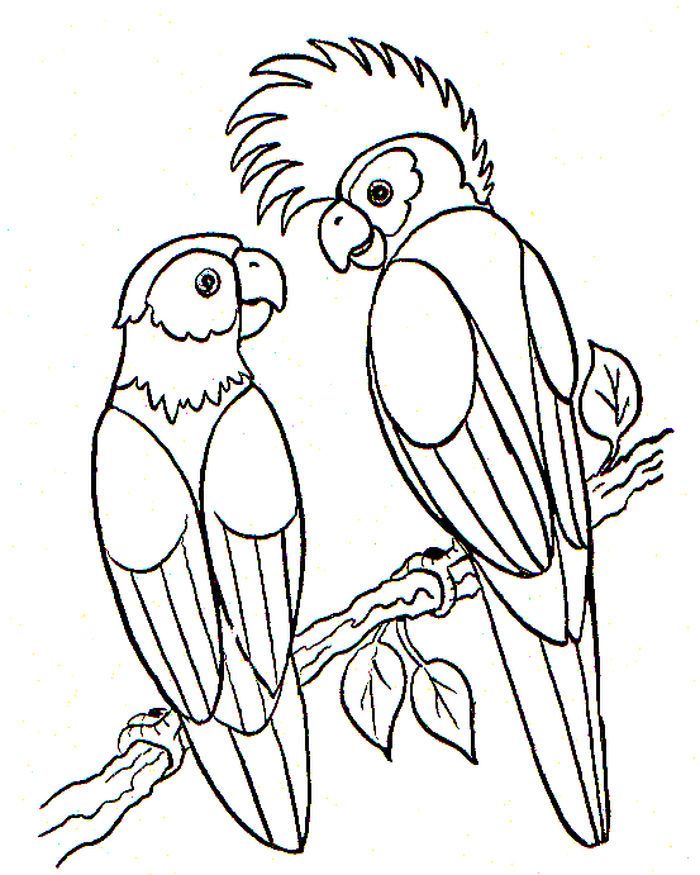 Cute parrot coloring pages pdf