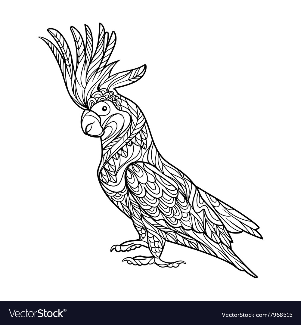 Cockatoo parrot coloring book for adults vector image