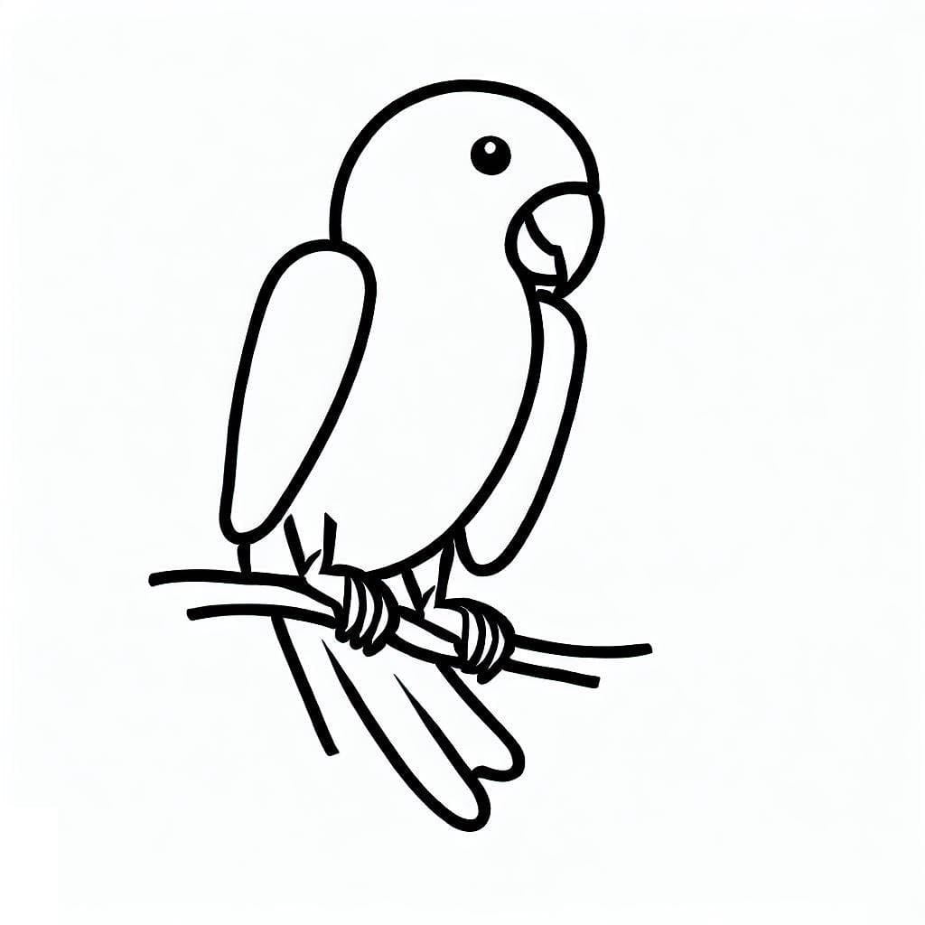 Parrot coloring pages