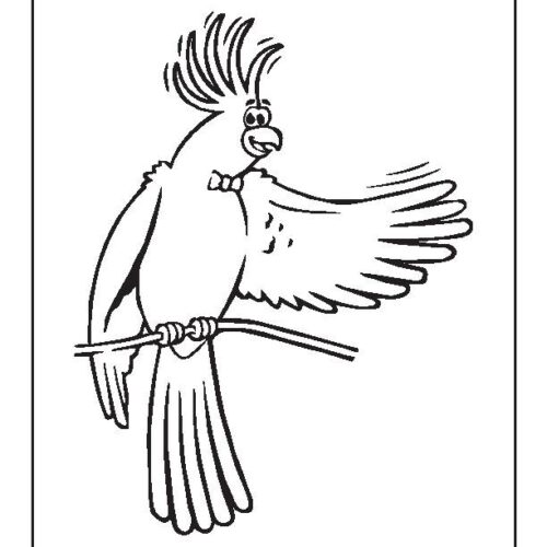Parrot coloring pages printable digital download