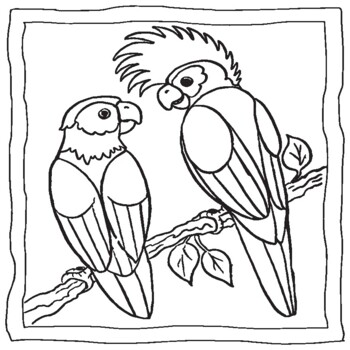 Parrot coloring book parrot coloring page by abdell hida tpt