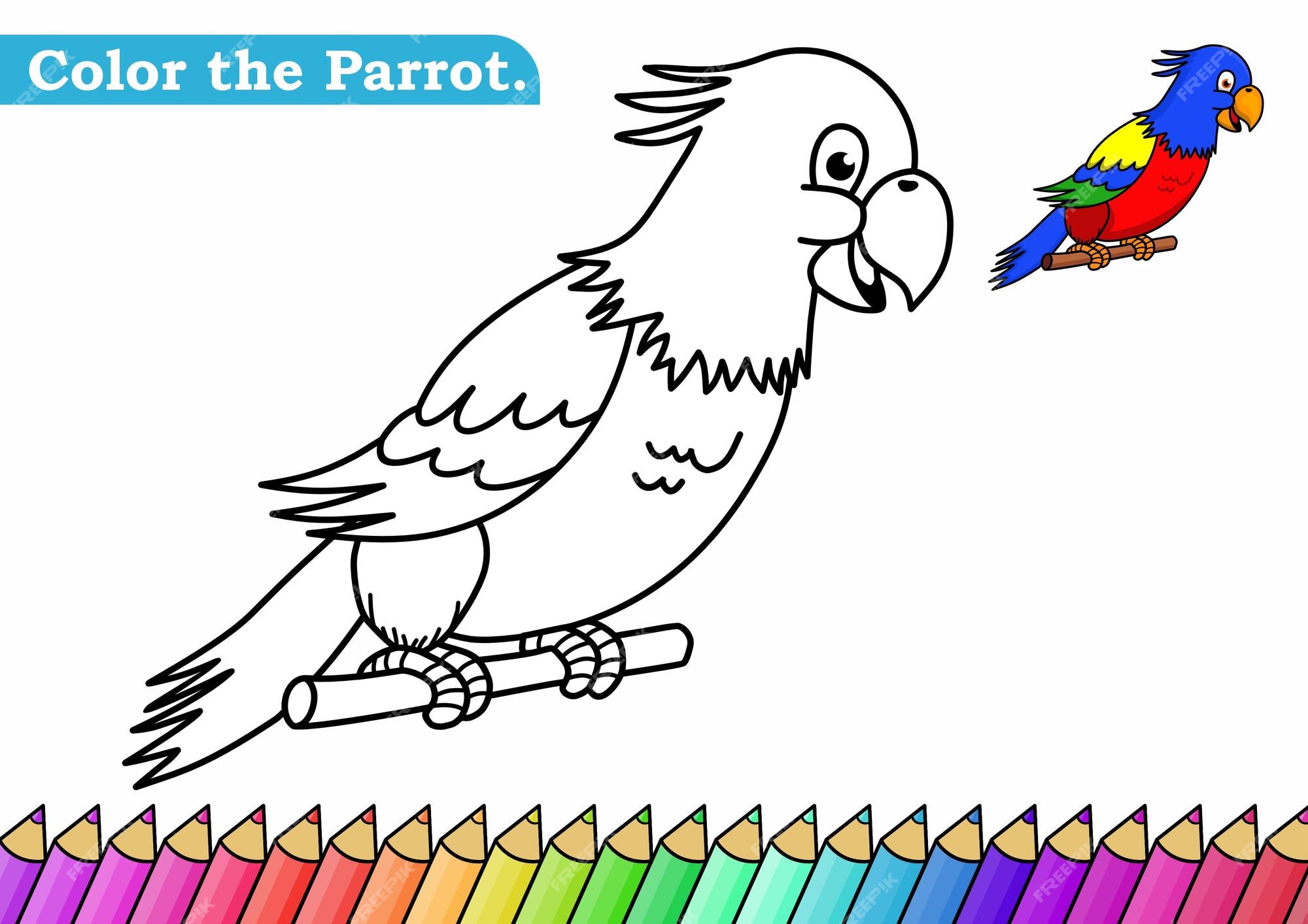 Parrot coloring page kids vectors illustrations for free download