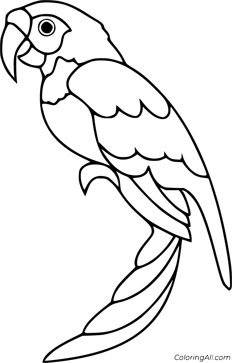 Free printable parrot coloring pages in vector format easy to print from any device and automatically fit anyâ dibujar arte arte de aves mosaico de animales