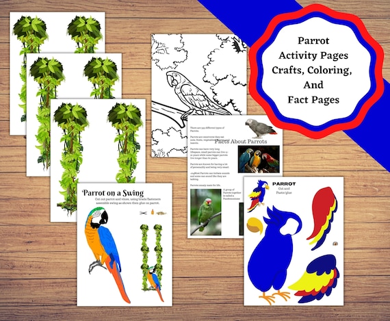 Printable parrot educational crafts and activity pages parrot decor coloring and facts sheet create your own parrot