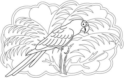 Parrot coloring page free printable coloring pages