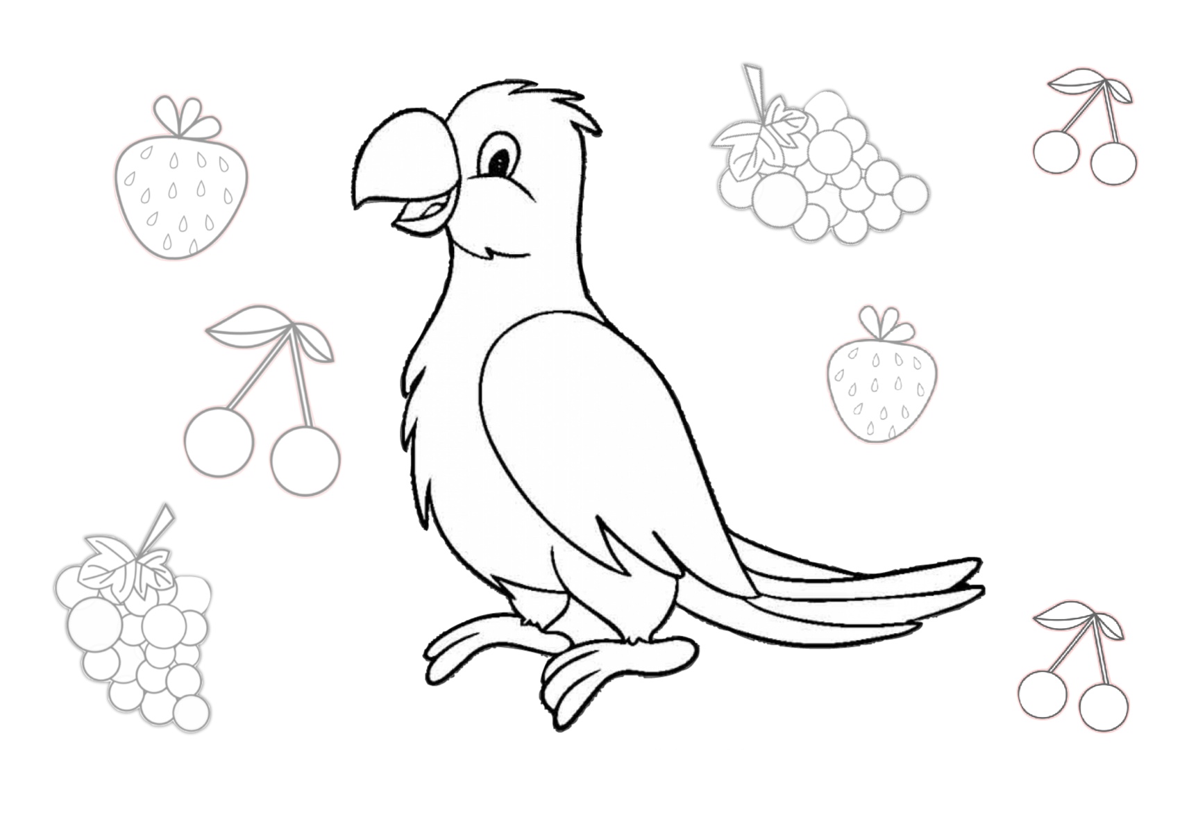 Parrot coloring pages pet birds printable pdf