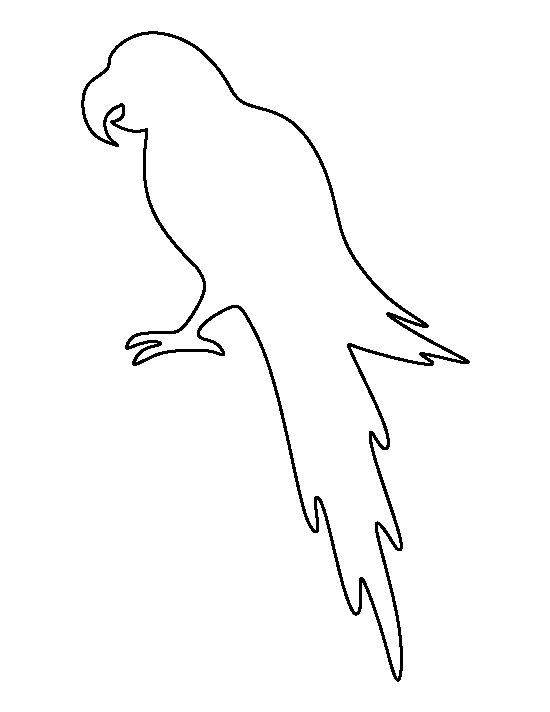 Printable parrot template parrot craft animal outline bird template