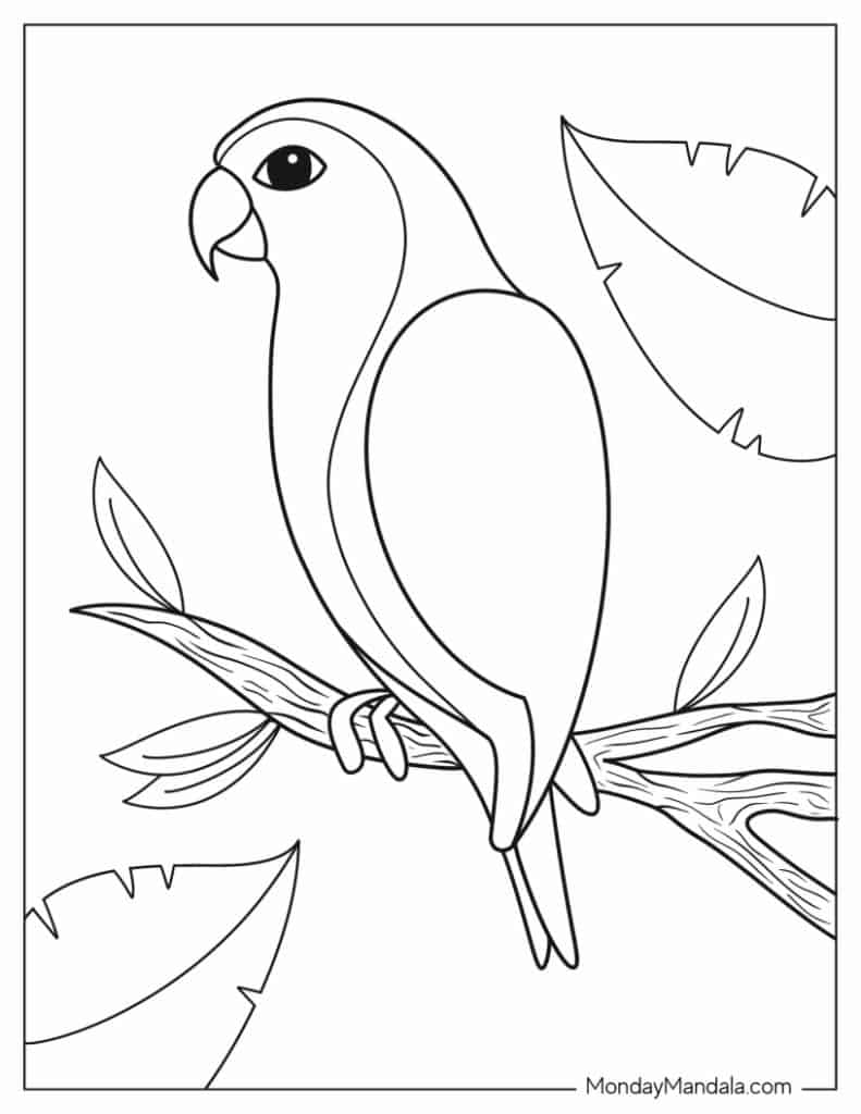 Parrot coloring pages free pdf printables