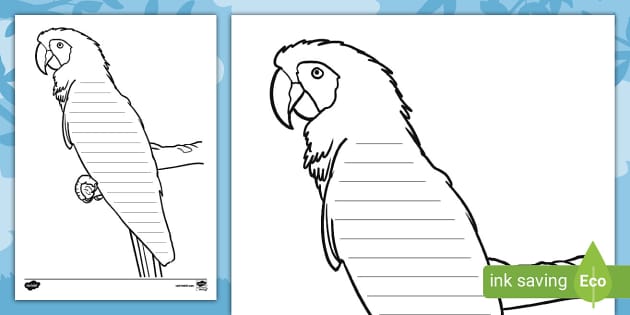 Parrot writing template teacher made