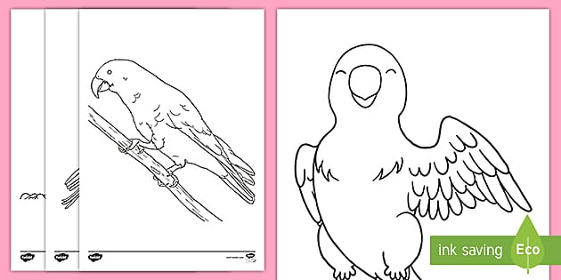 Parrot louring picture