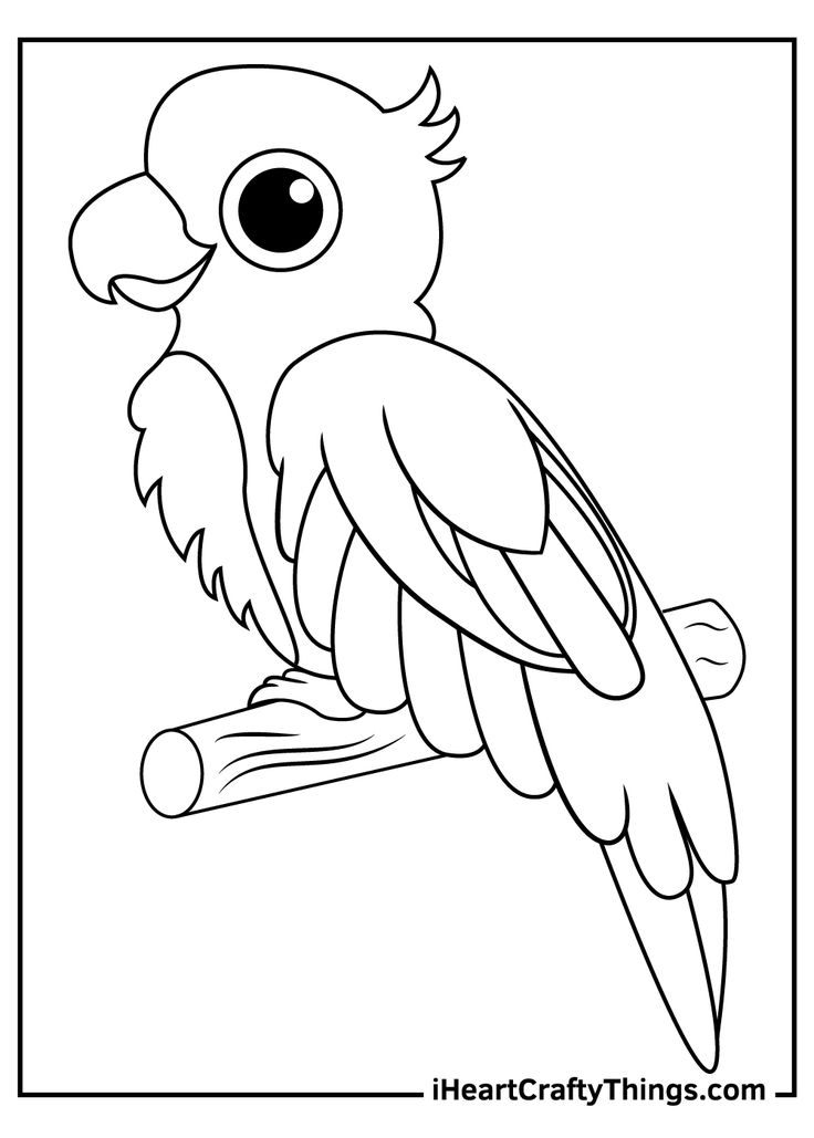 Parrots coloring pages bird coloring pages coloring pages coloring pages for kids