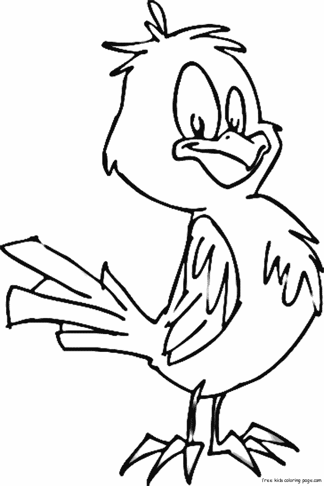 Cute birds animals colouring pages for kids to print ou