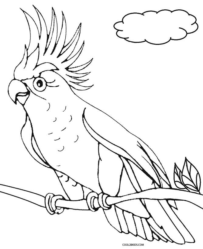 Printable parrot coloring pages for kids bird coloring pages bird drawings coloring pictures