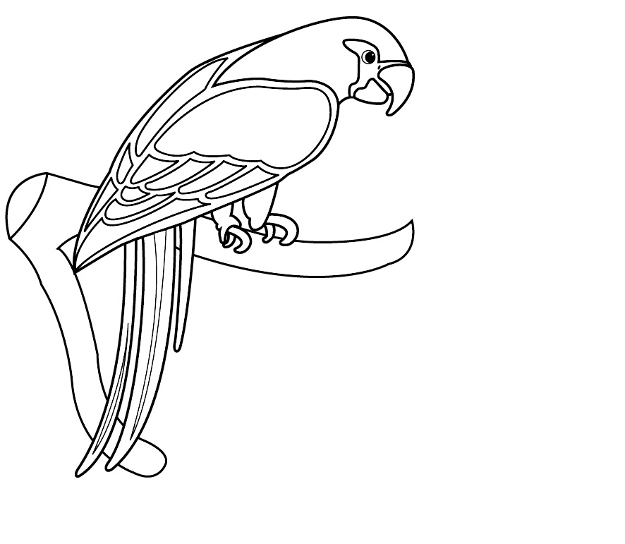Free printable parrot coloring pages for kids