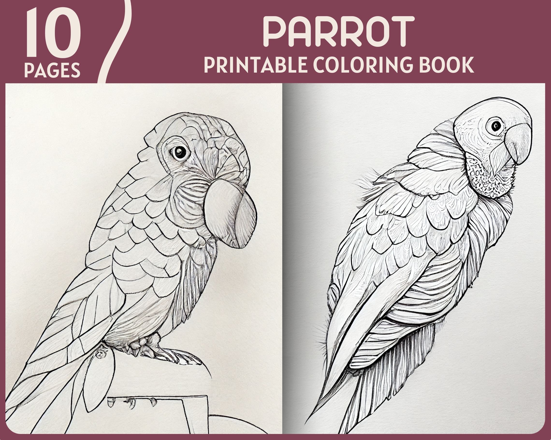 Parrot coloring pages grayscale parrots illustrations printable coloring book realistic tropical parrot coloring page