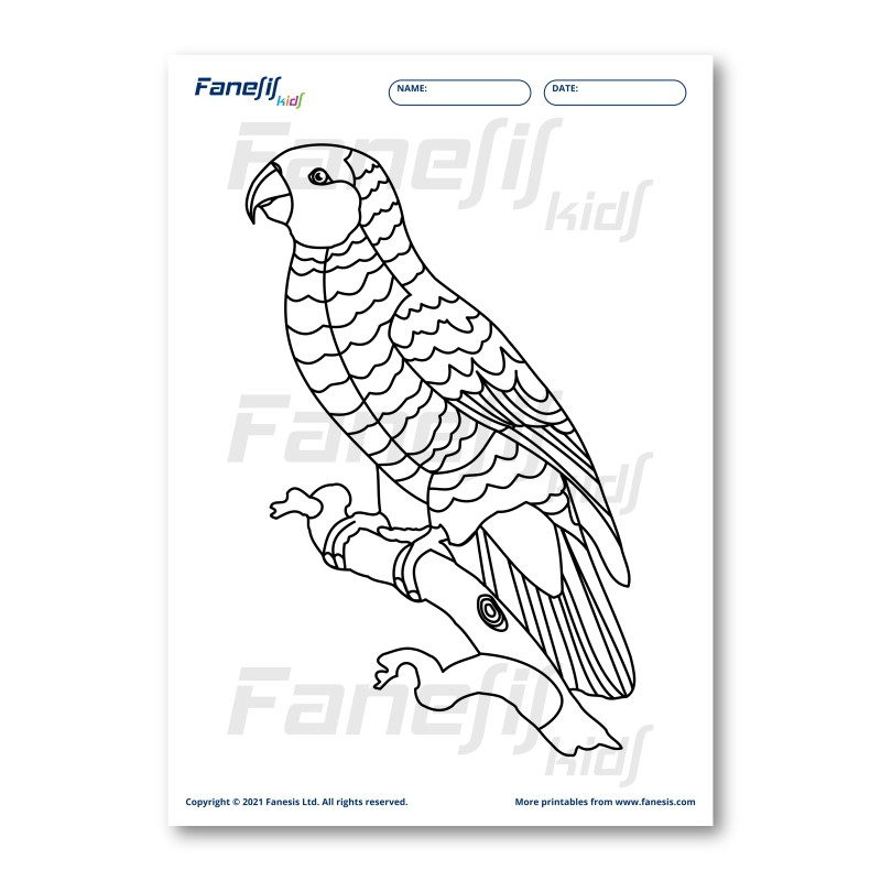 Free printable coloring page parrot