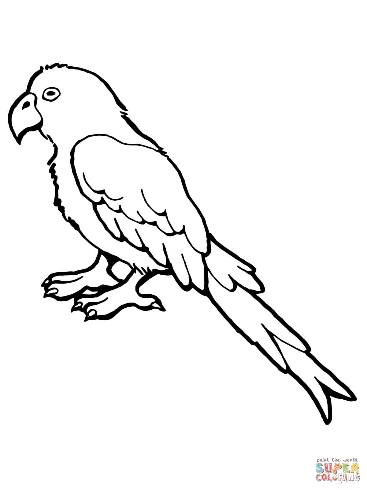 Parrot bird coloring page free printable coloring pages